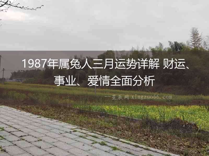 1987年屬兔人三月運(yùn)勢詳解 財運(yùn)、事業(yè)、愛情全面分析