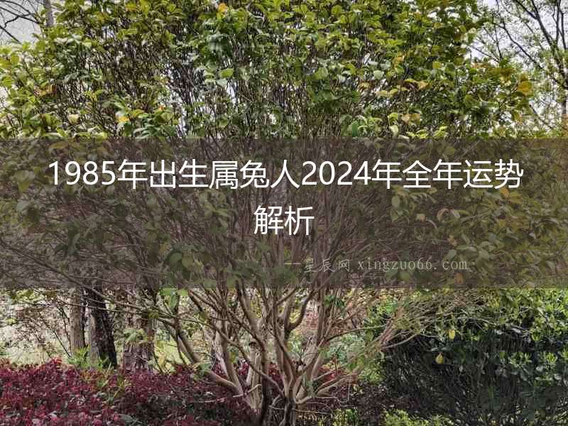 1985年出生屬兔人2024年全年運勢解析