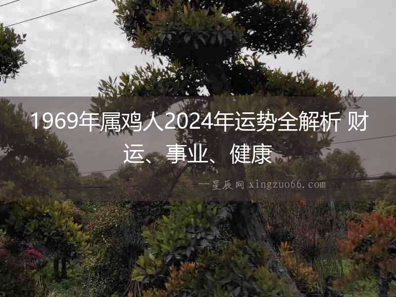 1969年屬雞人2024年運(yùn)勢(shì)全解析 財(cái)運(yùn)、事業(yè)、健康