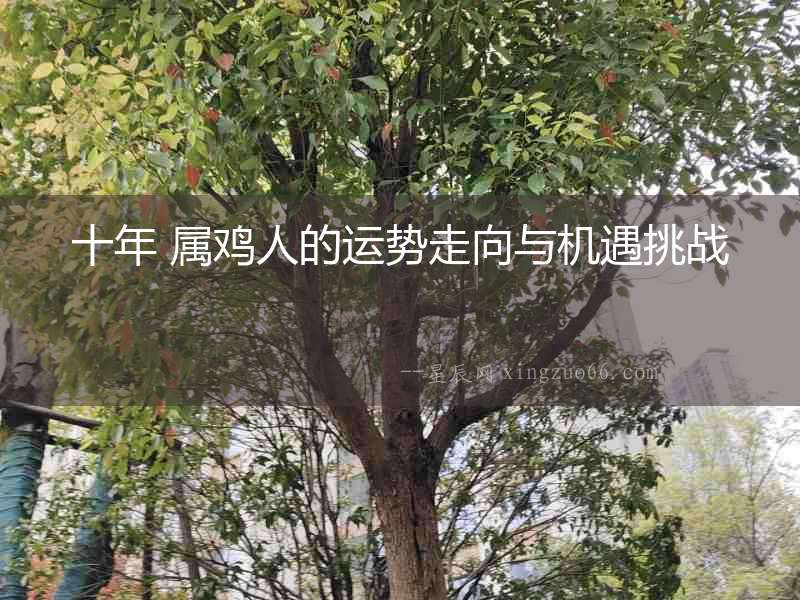 十年 屬雞人的運(yùn)勢(shì)走向與機(jī)遇挑戰(zhàn)