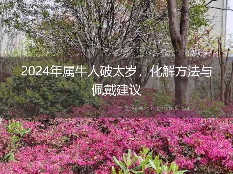 2024年屬牛人破太歲，化解方法與佩戴建議