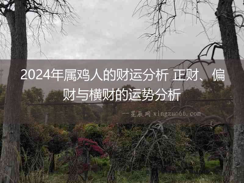 2024年屬雞人的財運分析 正財、偏財與橫財的運勢分析