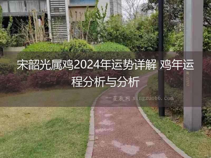 宋韶光屬雞2024年運勢詳解 雞年運程分析與分析