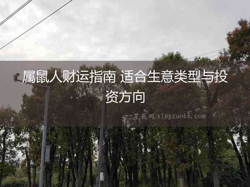 屬鼠人財運指南 適合生意類型與投資方向