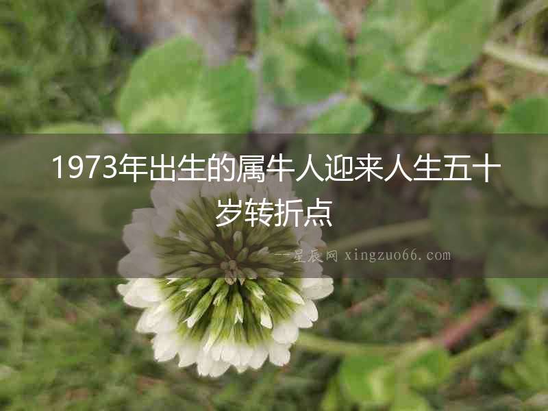1973年出生的屬牛人迎來(lái)人生五十歲轉(zhuǎn)折點(diǎn)