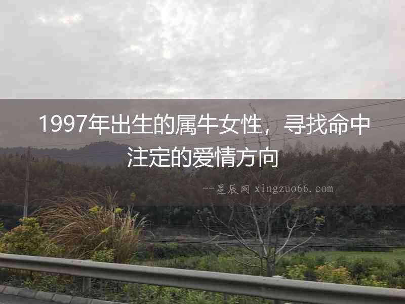 1997年出生的屬牛女性，尋找命中注定的愛情方向