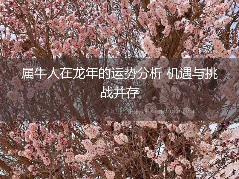 屬牛人在龍年的運(yùn)勢(shì)分析 機(jī)遇與挑戰(zhàn)并存