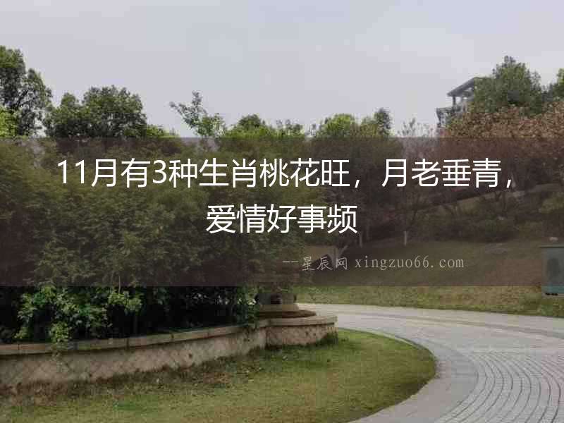 11月有3種生肖桃花旺，月老垂青，愛情好事頻