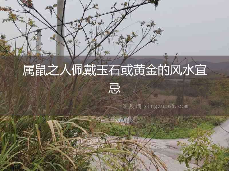 屬鼠之人佩戴玉石或黃金的風水宜忌