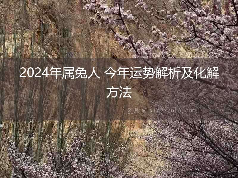 2024年屬兔人 今年運勢解析及化解方法