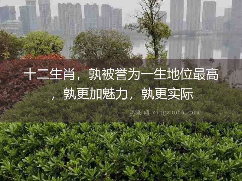 十二生肖，孰被譽為一生地位最高，孰更加魅力，孰更實際