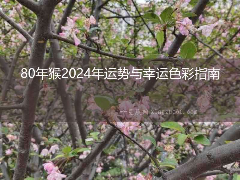 80年猴2024年運勢與幸運色彩指南