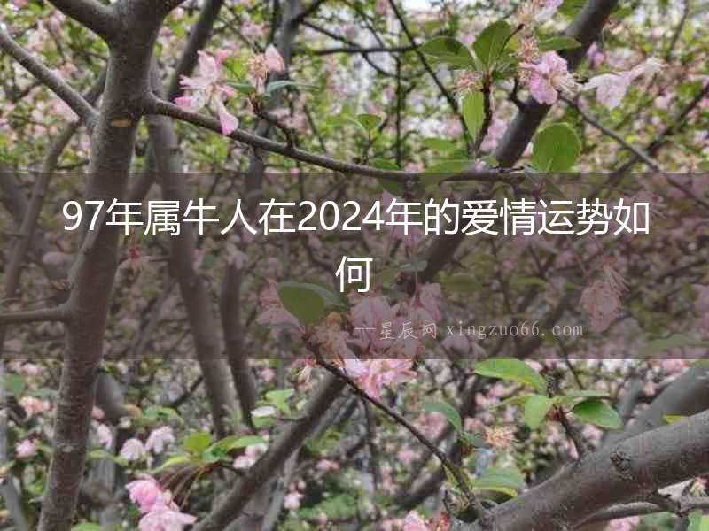97年屬牛人在2024年的愛情運勢如何