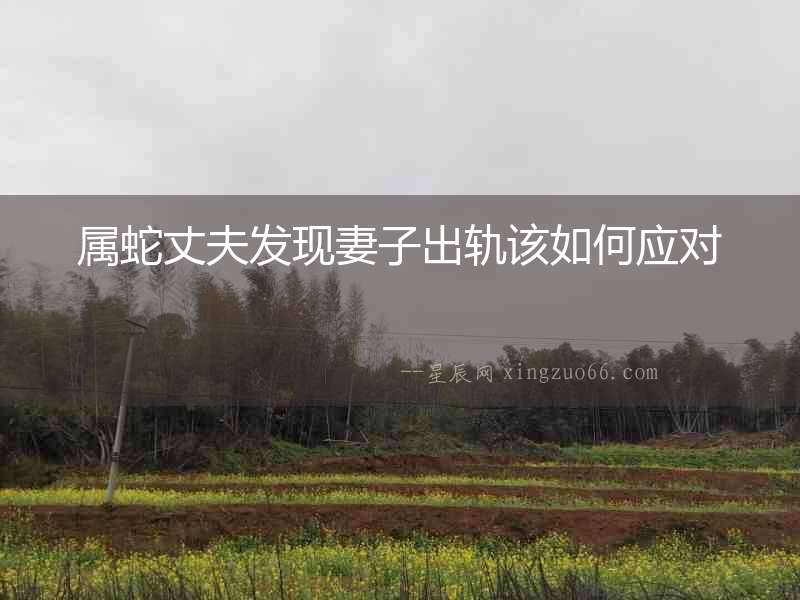 屬蛇丈夫發(fā)現(xiàn)妻子出軌該如何應對
