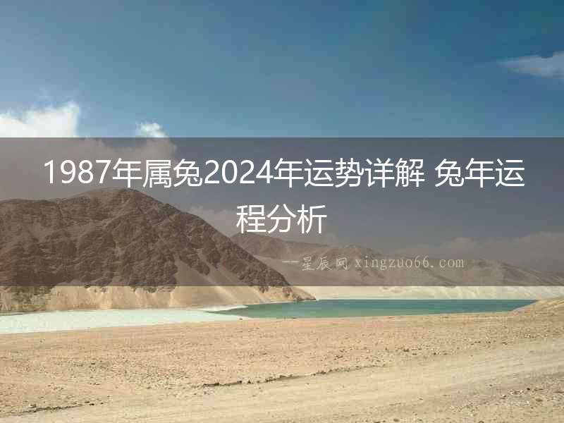 1987年屬兔2024年運勢詳解 兔年運程分析