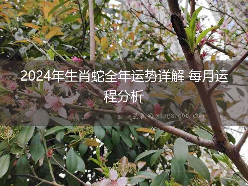 2024年生肖蛇全年運勢詳解 每月運程分析