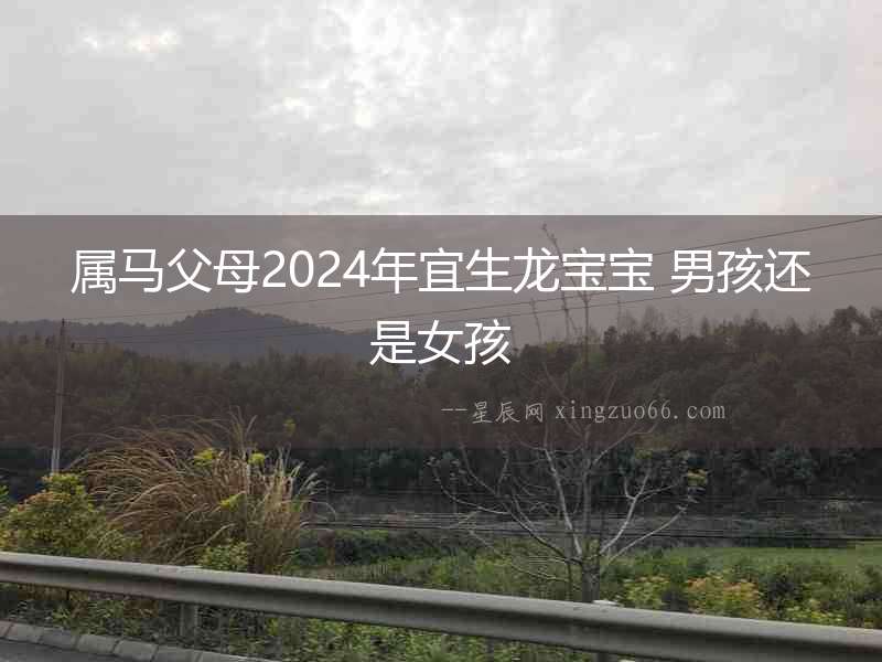 屬馬父母2024年宜生龍寶寶 男孩還是女孩