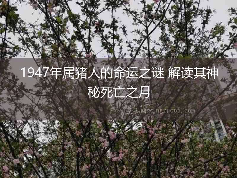 1947年屬豬人的命運之謎 解讀其神秘死亡之月