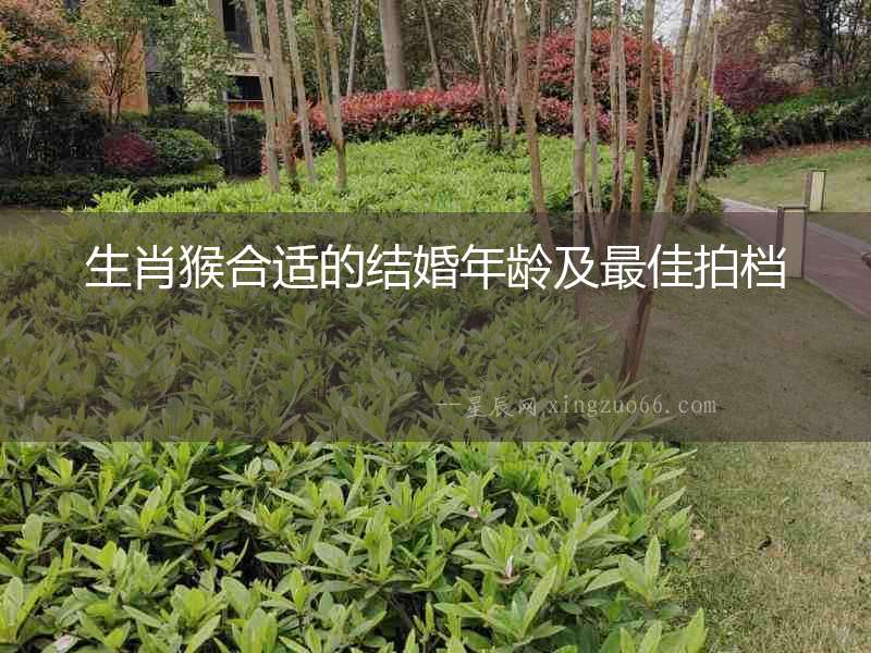 生肖猴合適的結婚年齡及最佳拍檔