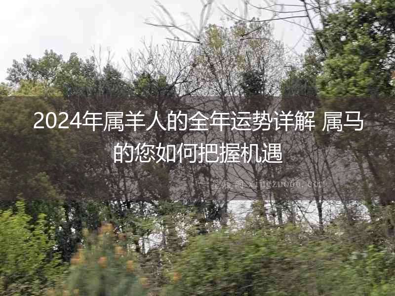 2024年屬羊人的全年運勢詳解 屬馬的您如何把握機遇