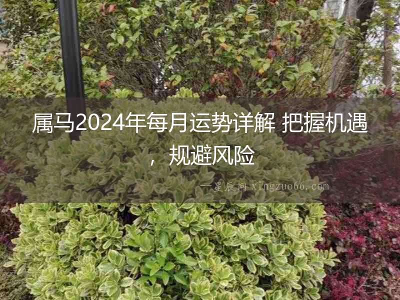 屬馬2024年每月運勢詳解 把握機遇，規避風險