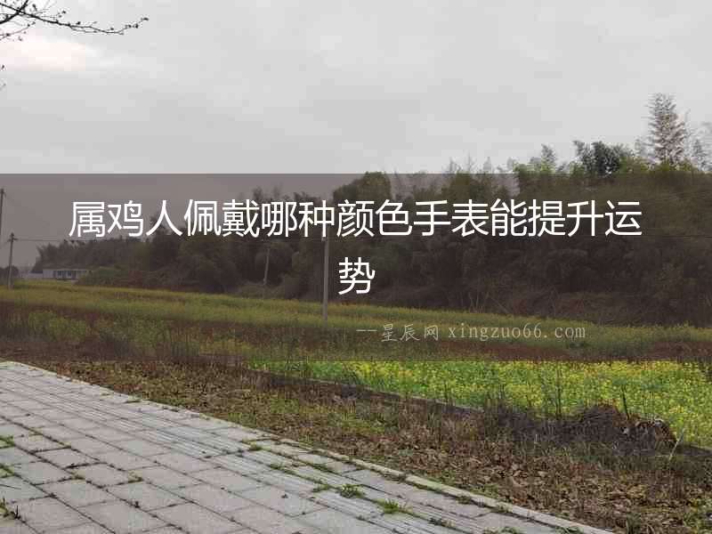 屬雞人佩戴哪種顏色手表能提升運勢