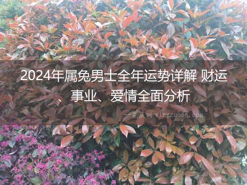 2024年屬兔男士全年運勢詳解 財運、事業、愛情全面分析