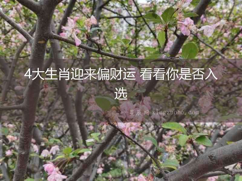 4大生肖迎來偏財運 看看你是否入選