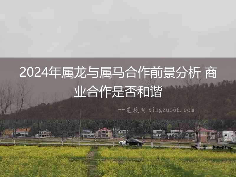 2024年屬龍與屬馬合作前景分析 商業合作是否和諧