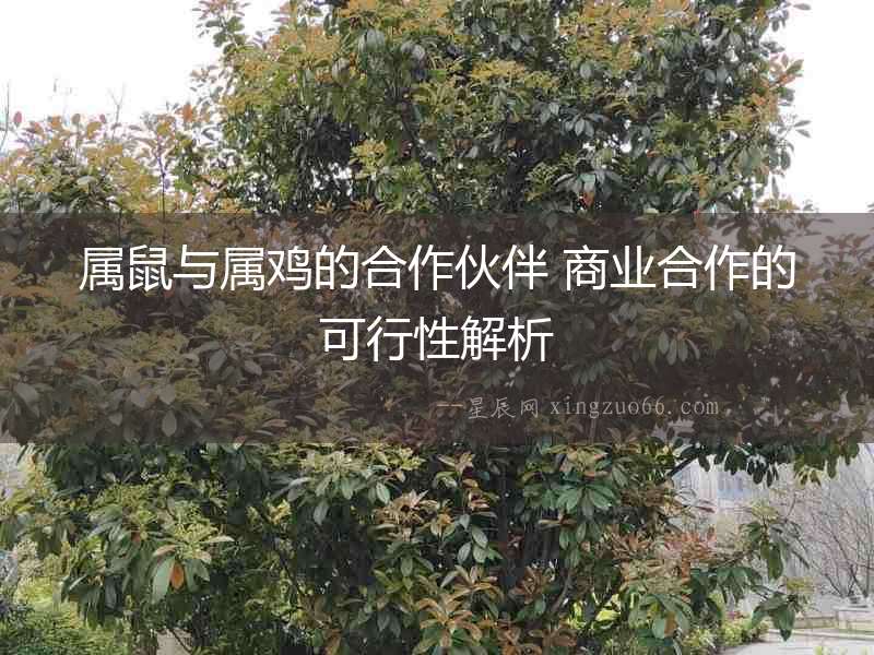 屬鼠與屬雞的合作伙伴 商業合作的可行性解析