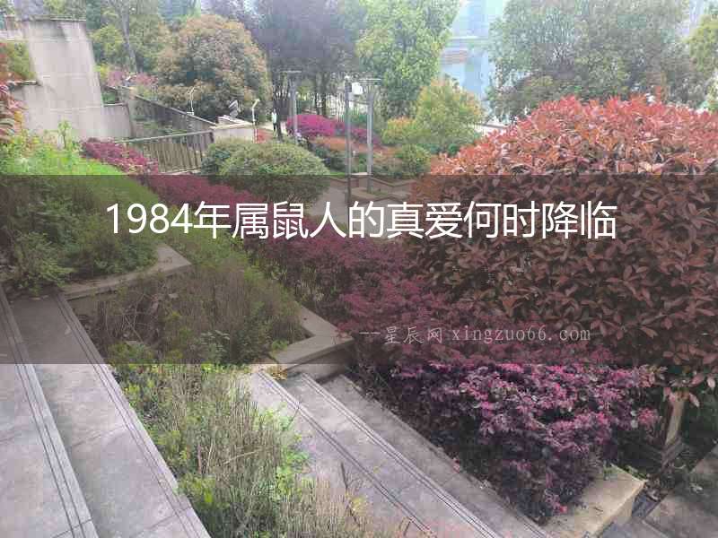 1984年屬鼠人的真愛何時降臨