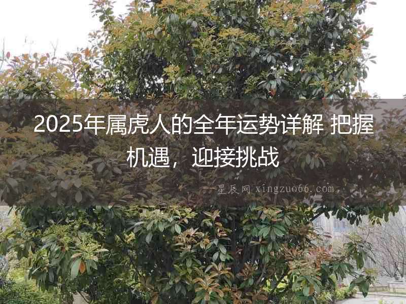 2025年屬虎人的全年運(yùn)勢(shì)詳解 把握機(jī)遇，迎接挑戰(zhàn)