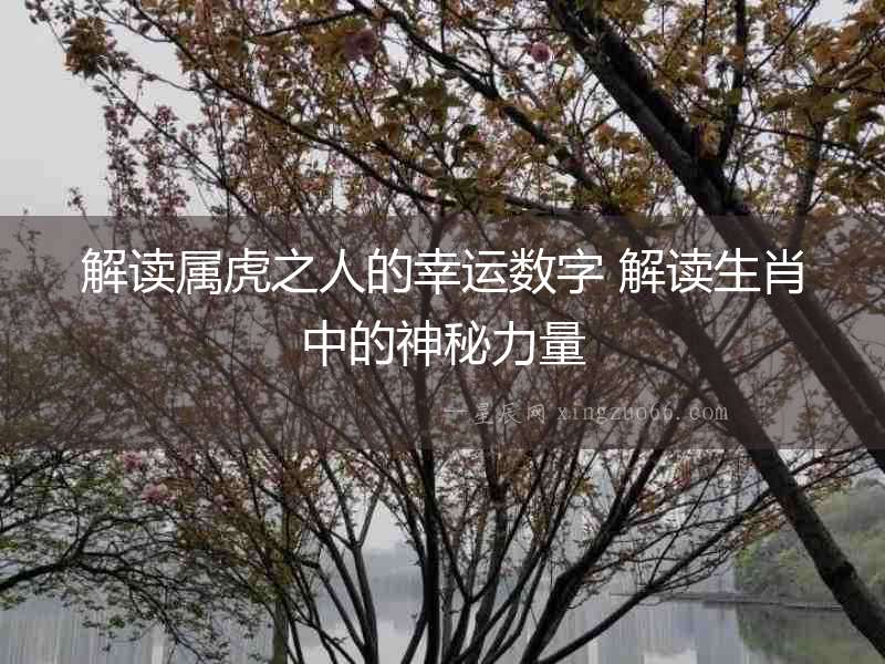 解讀屬虎之人的幸運(yùn)數(shù)字 解讀生肖中的神秘力量