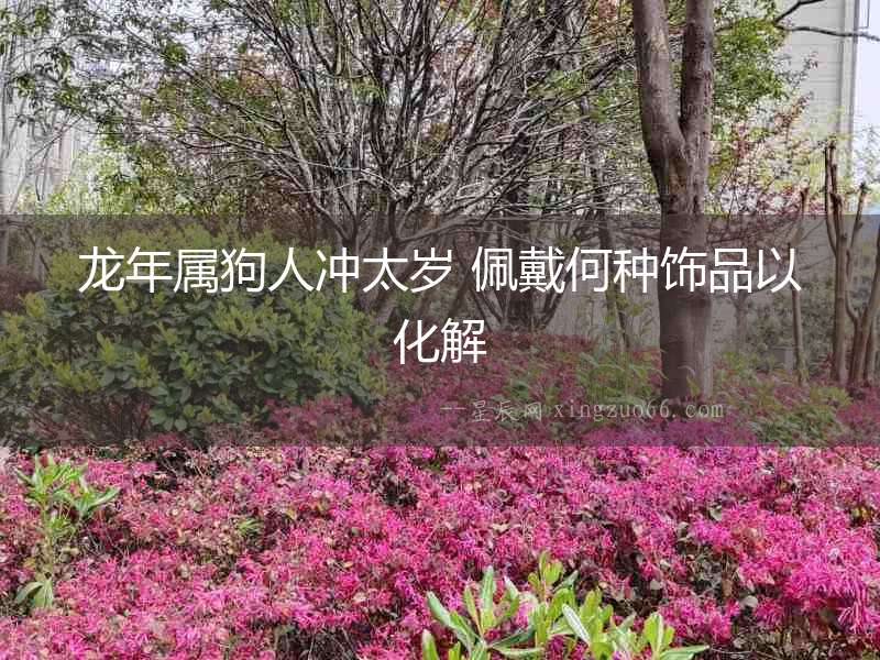 龍年屬狗人沖太歲 佩戴何種飾品以化解
