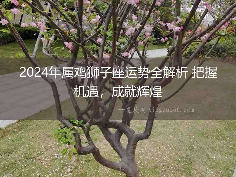 2024年屬雞獅子座運勢全解析 把握機遇，成就輝煌