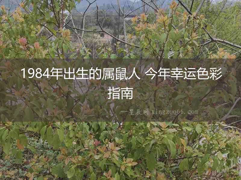 1984年出生的屬鼠人 今年幸運色彩指南