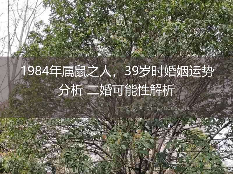 1984年屬鼠之人，39歲時(shí)婚姻運(yùn)勢(shì)分析 二婚可能性解析
