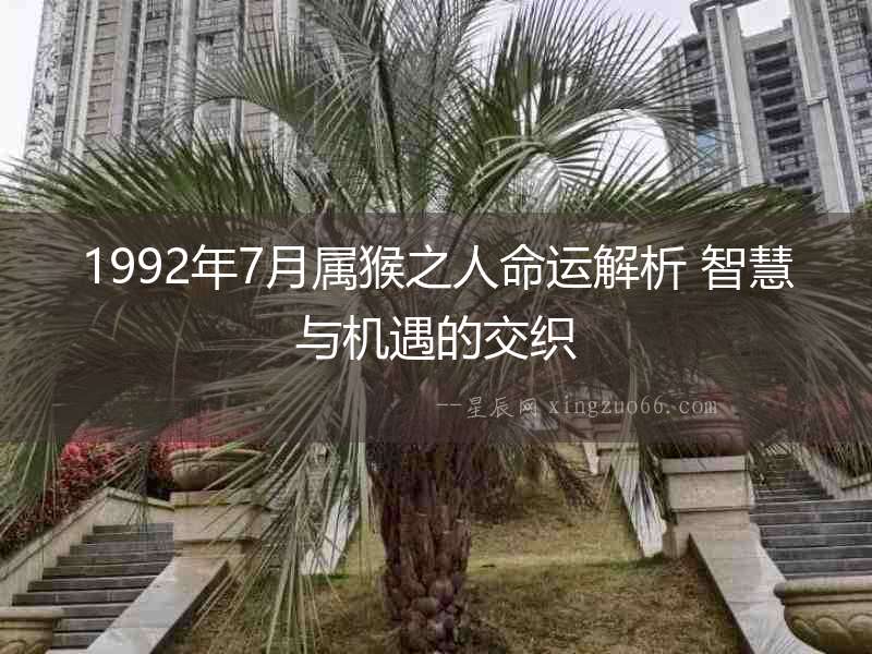 1992年7月屬猴之人命運解析 智慧與機遇的交織