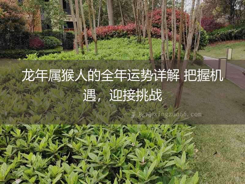 龍年屬猴人的全年運(yùn)勢(shì)詳解 把握機(jī)遇，迎接挑戰(zhàn)