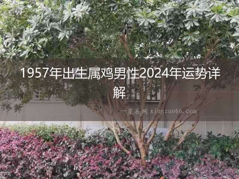 1957年出生屬雞男性2024年運勢詳解
