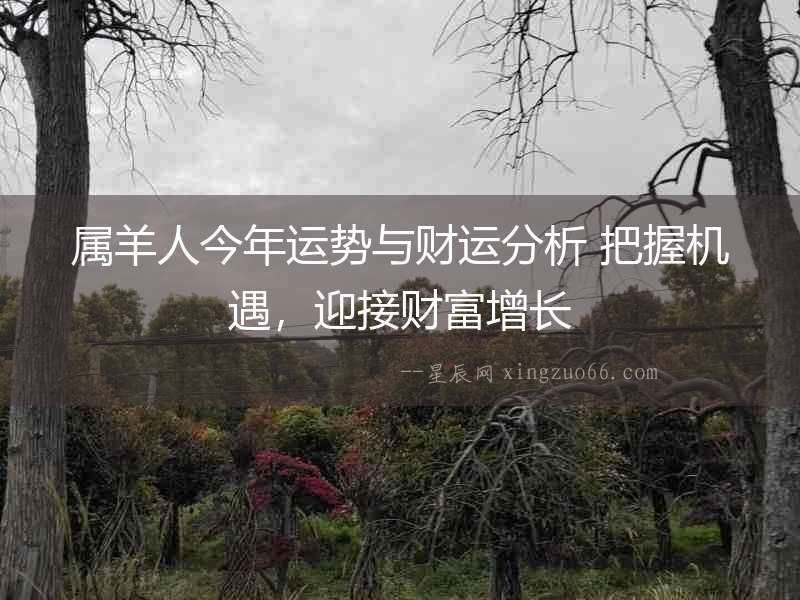 屬羊人今年運勢與財運分析 把握機遇，迎接財富增長