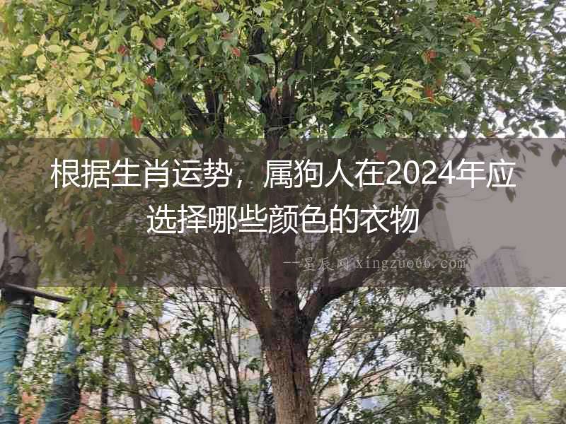 根據(jù)生肖運(yùn)勢(shì)，屬狗人在2024年應(yīng)選擇哪些顏色的衣物