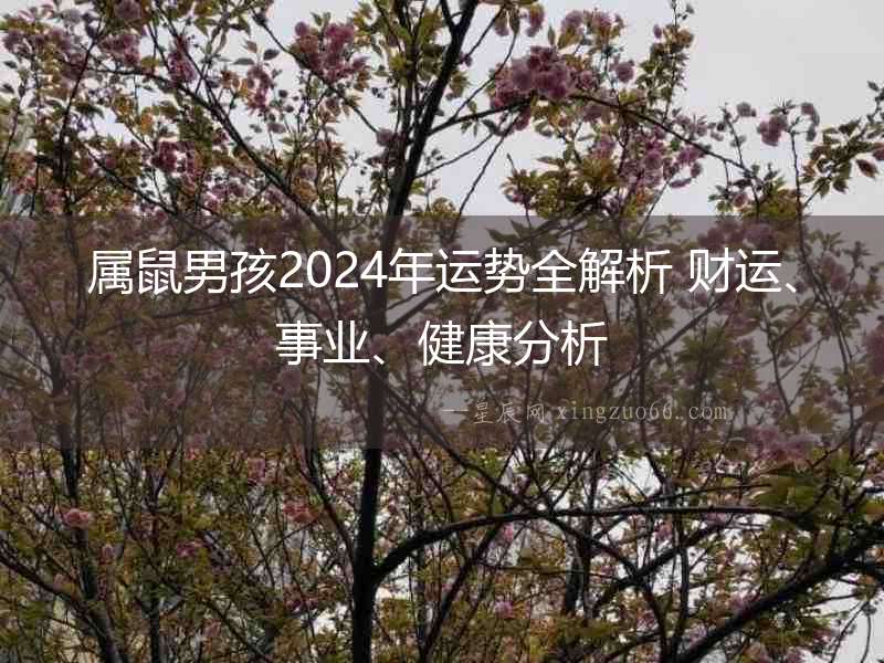 屬鼠男孩2024年運勢全解析 財運、事業、健康分析