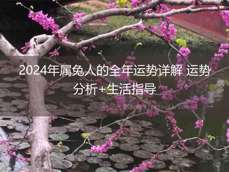 2024年屬兔人的全年運(yùn)勢(shì)詳解 運(yùn)勢(shì)分析+生活指導(dǎo)