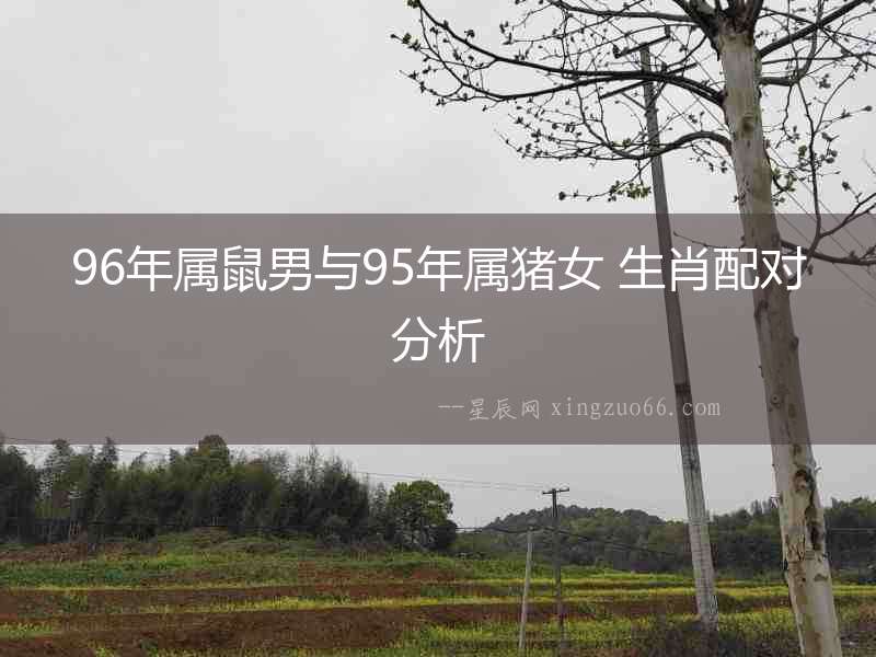 96年屬鼠男與95年屬豬女 生肖配對分析