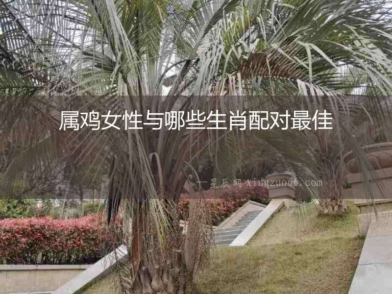 屬雞女性與哪些生肖配對最佳