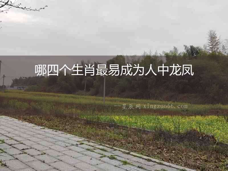 哪四個生肖最易成為人中龍鳳