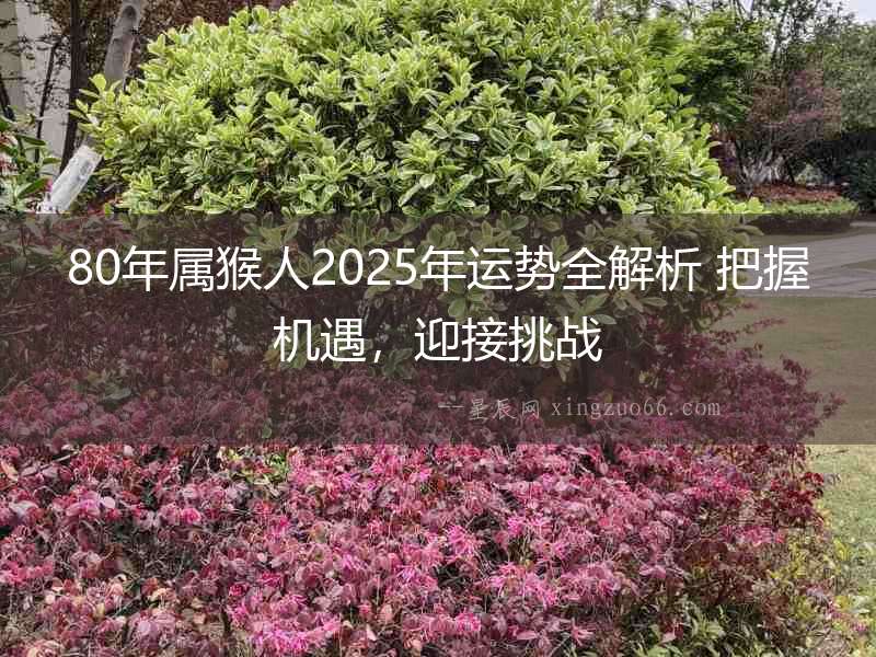 80年屬猴人2025年運勢全解析 把握機遇，迎接挑戰