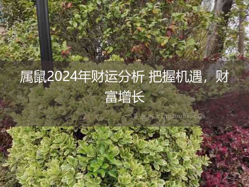 屬鼠2024年財(cái)運(yùn)分析 把握機(jī)遇，財(cái)富增長(zhǎng)