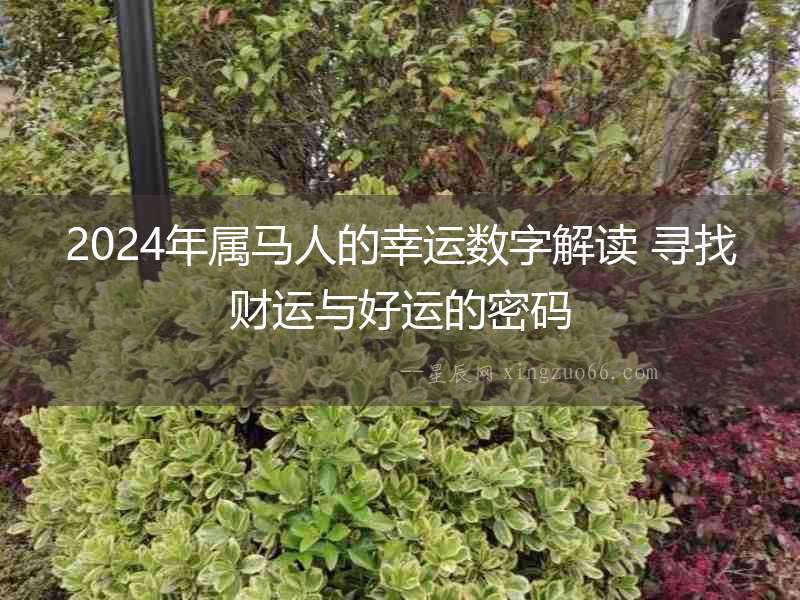 2024年屬馬人的幸運數字解讀 尋找財運與好運的密碼